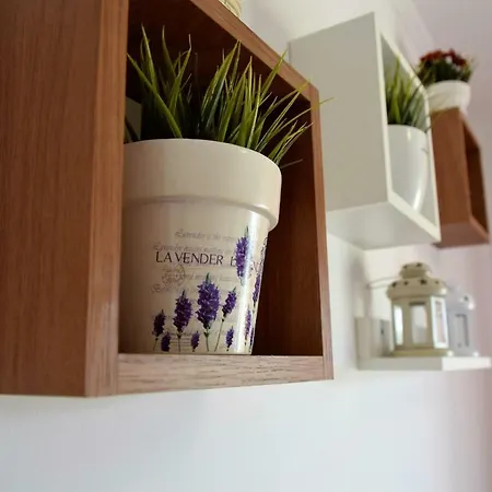 Apartman Apartments Kampor *